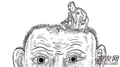 大部分男性脫發主要是什么原因